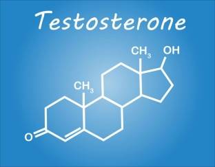 Анализ крови на тестостерон в калининграде thumbnail